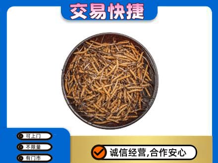 柯坪县高价回收散虫草